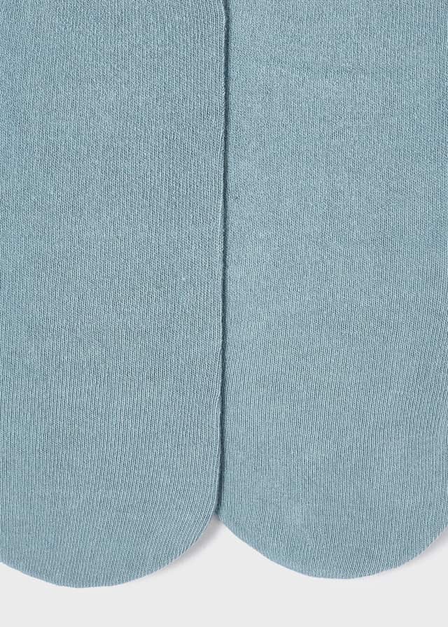 Pantacollant Bluebell