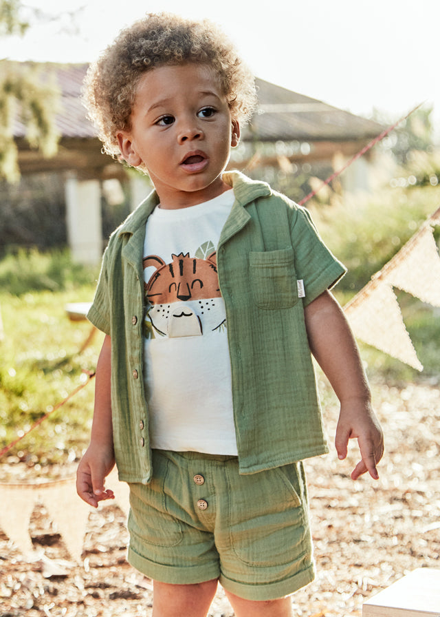 Bermuda Bambu Salvia