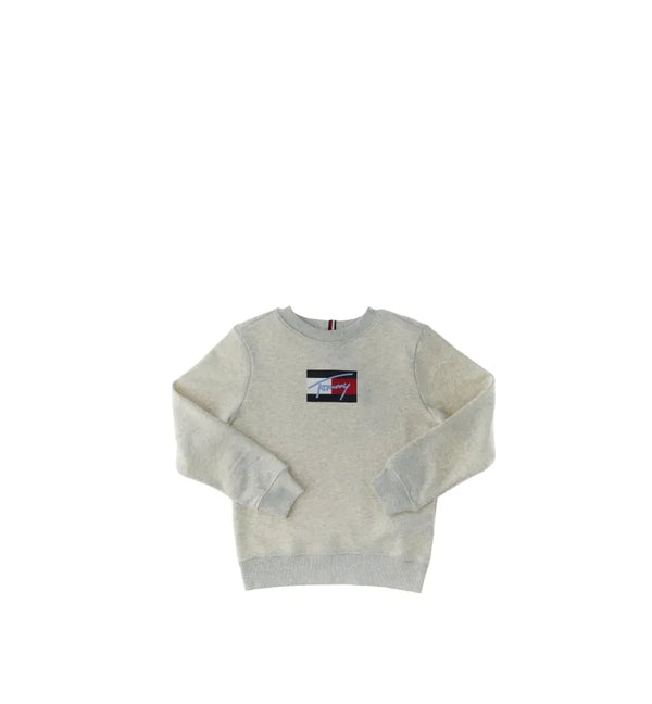 Felpa Logo Nuvola Grey Heather