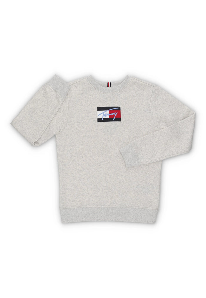 Felpa Logo Nuvola Grey Heather