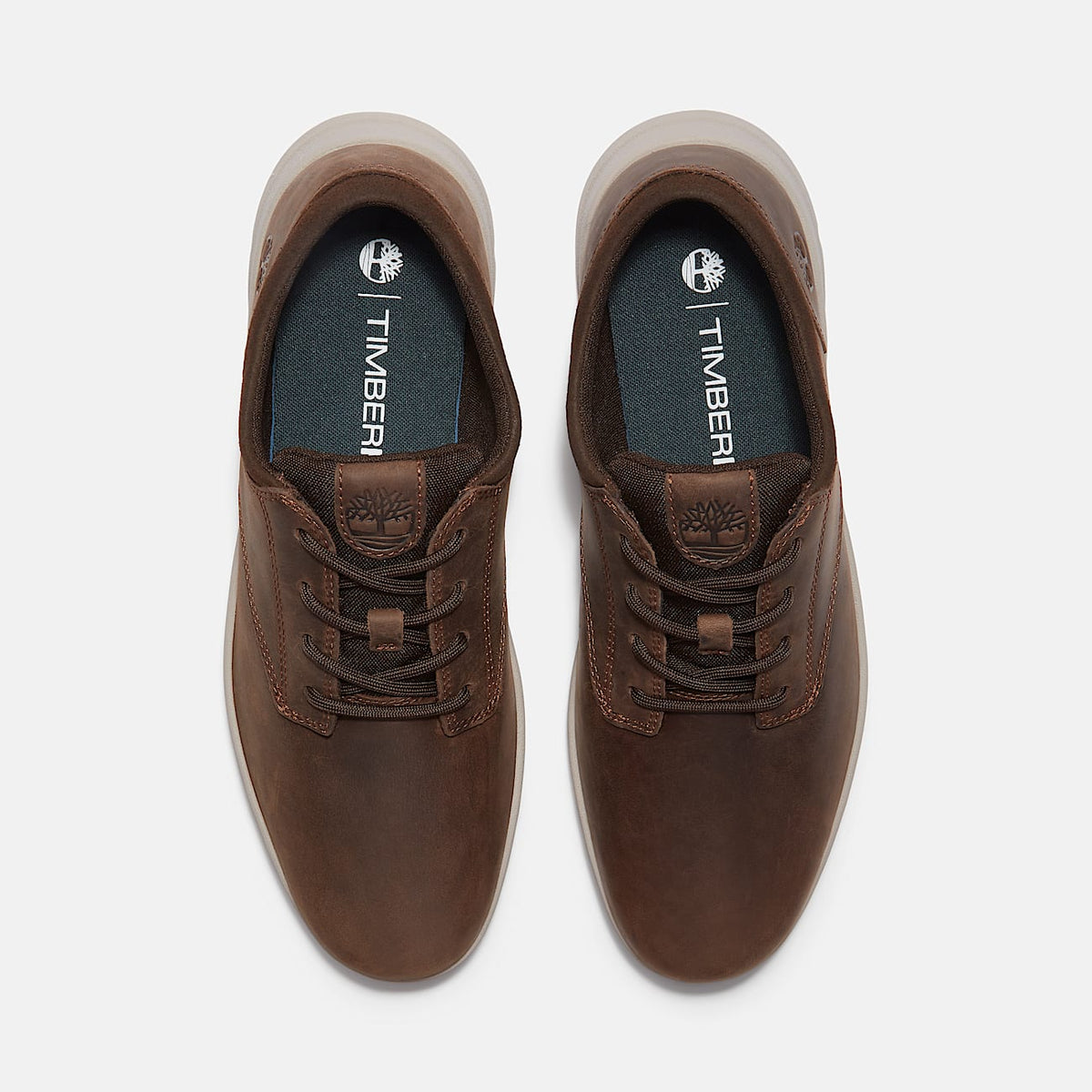 Scarpa Bassa Da Uomo Parker Street Dark Brown