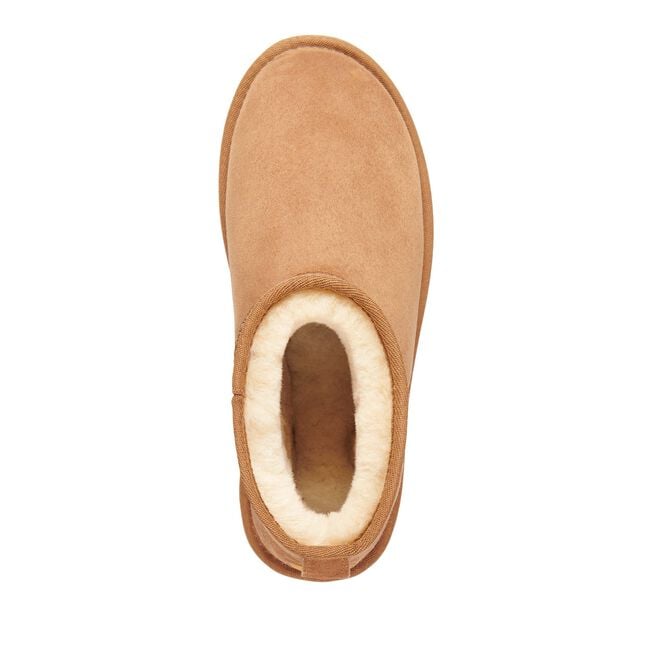 Stivaletti da Donna Stinger Micro Chestnut