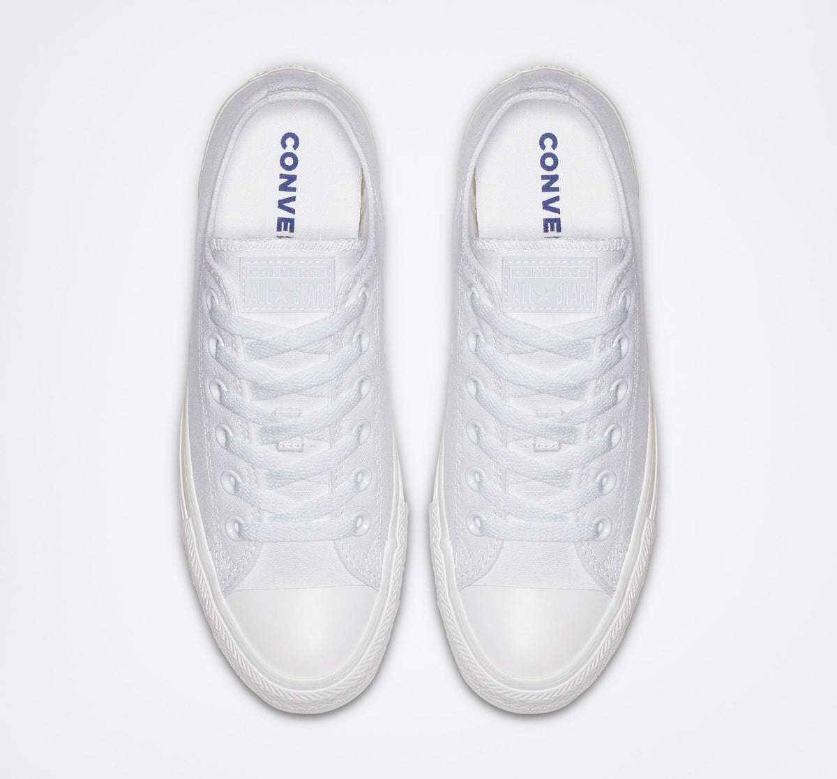 Chuck Taylor Bassa Mono Canvas Bianca