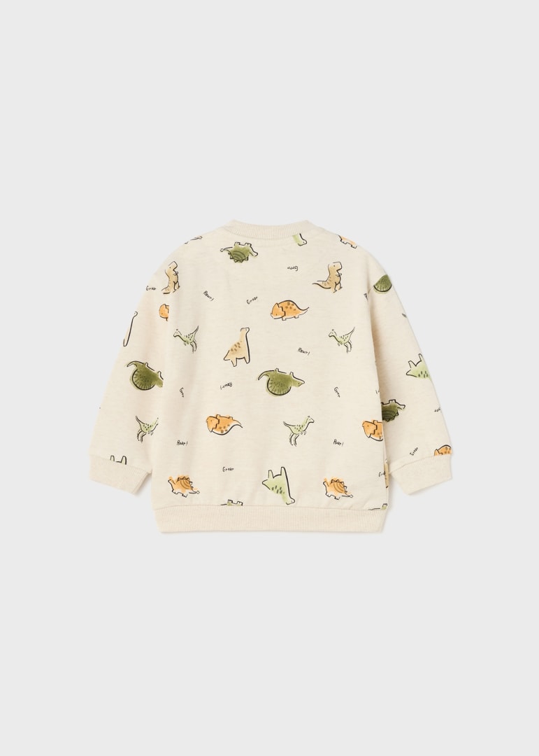 Pullover Stampato Avena