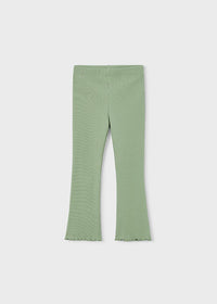 Leggings Zampa Costina Verde Salvia