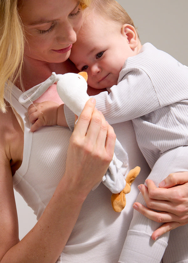 Peluche Portaciuccio Rosa