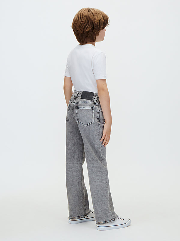 Jeans modello Skater Stone Grey Wash