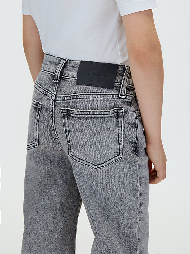 Jeans modello Skater Stone Grey Wash