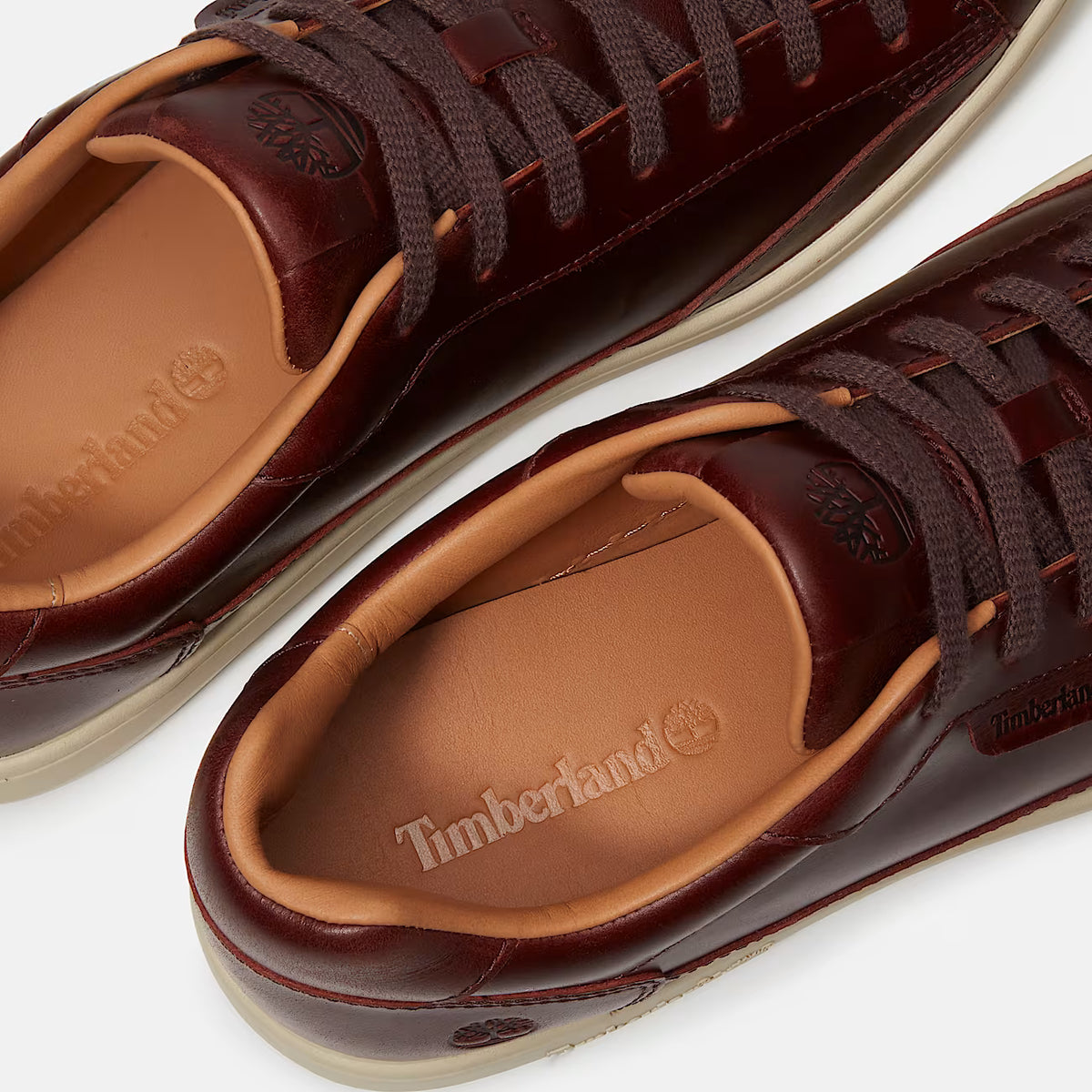 Timberland Portofino Sneaker In Pelle Pieno Fiore Burgun