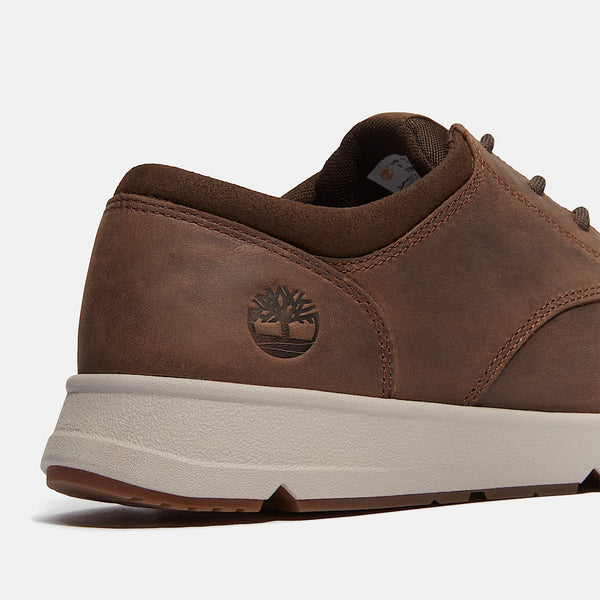 Scarpa Bassa Da Uomo Parker Street Dark Brown