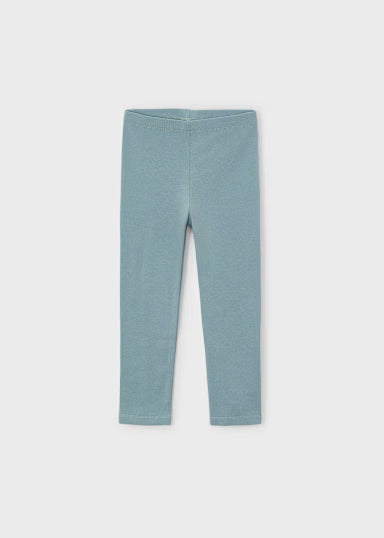 ComplLeggings 2 Pantaloni Salvia