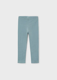 ComplLeggings 2 Pantaloni Salvia