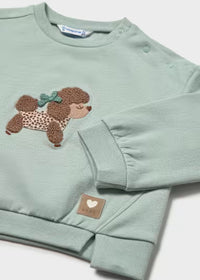 Pullover Verde