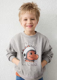 Felpa Dino Grigio