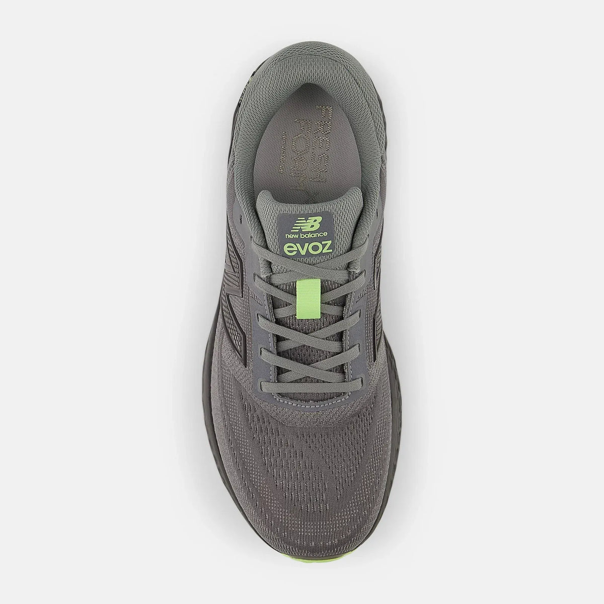 Scarpa Running EVOZ GTX V4 Grigio