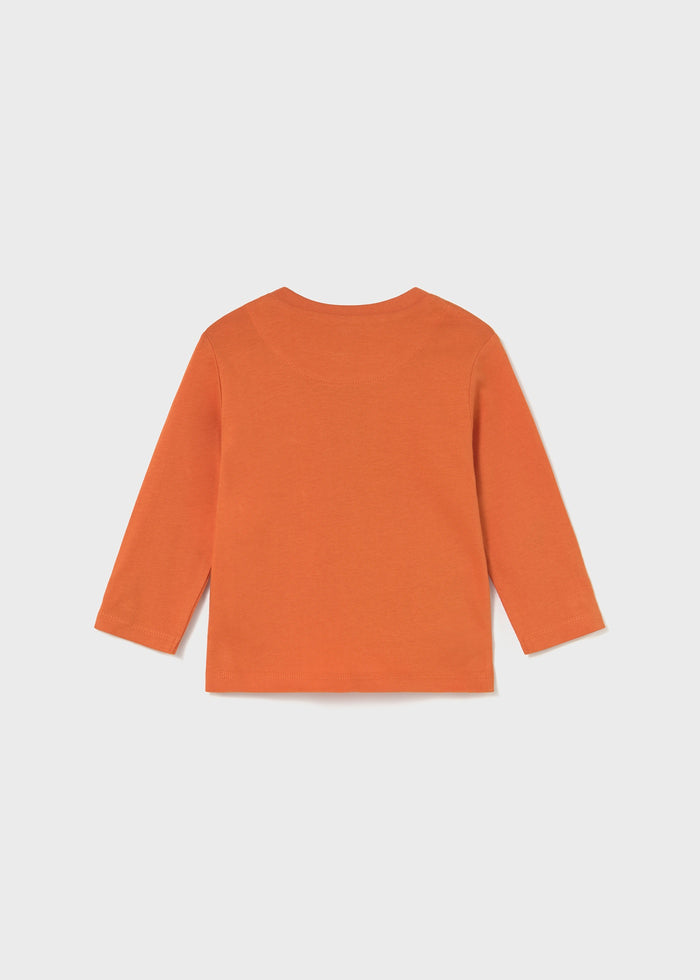 Maglietta Manica Lunga Lenticular Prin Zucca