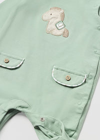 Set 2 Pagliaccetti Lunghi Acqua