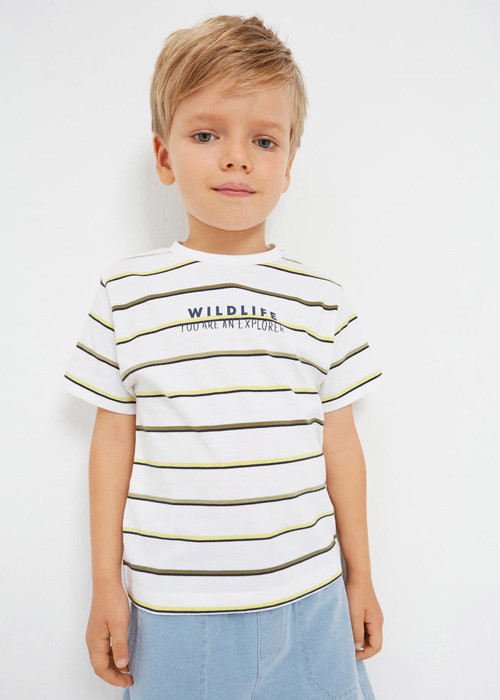 Set 2 Maglie M/C Liscie RigheAnanas